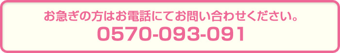 お問い合わせ電話番号 0570-093-091